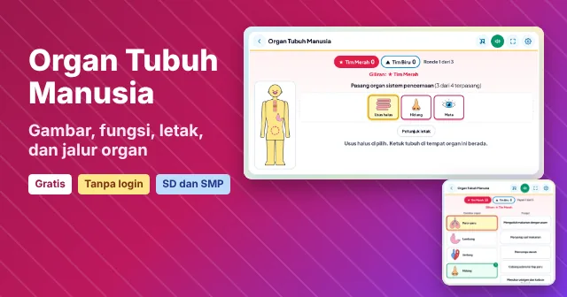 Cuplikan layar game Organ Tubuh Manusia